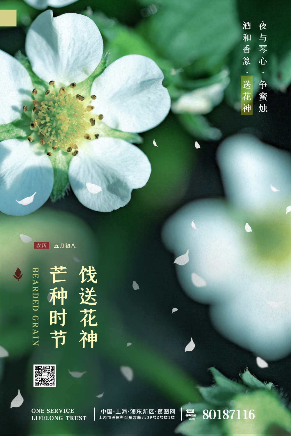 清新文艺芒种习俗送花神节气海报