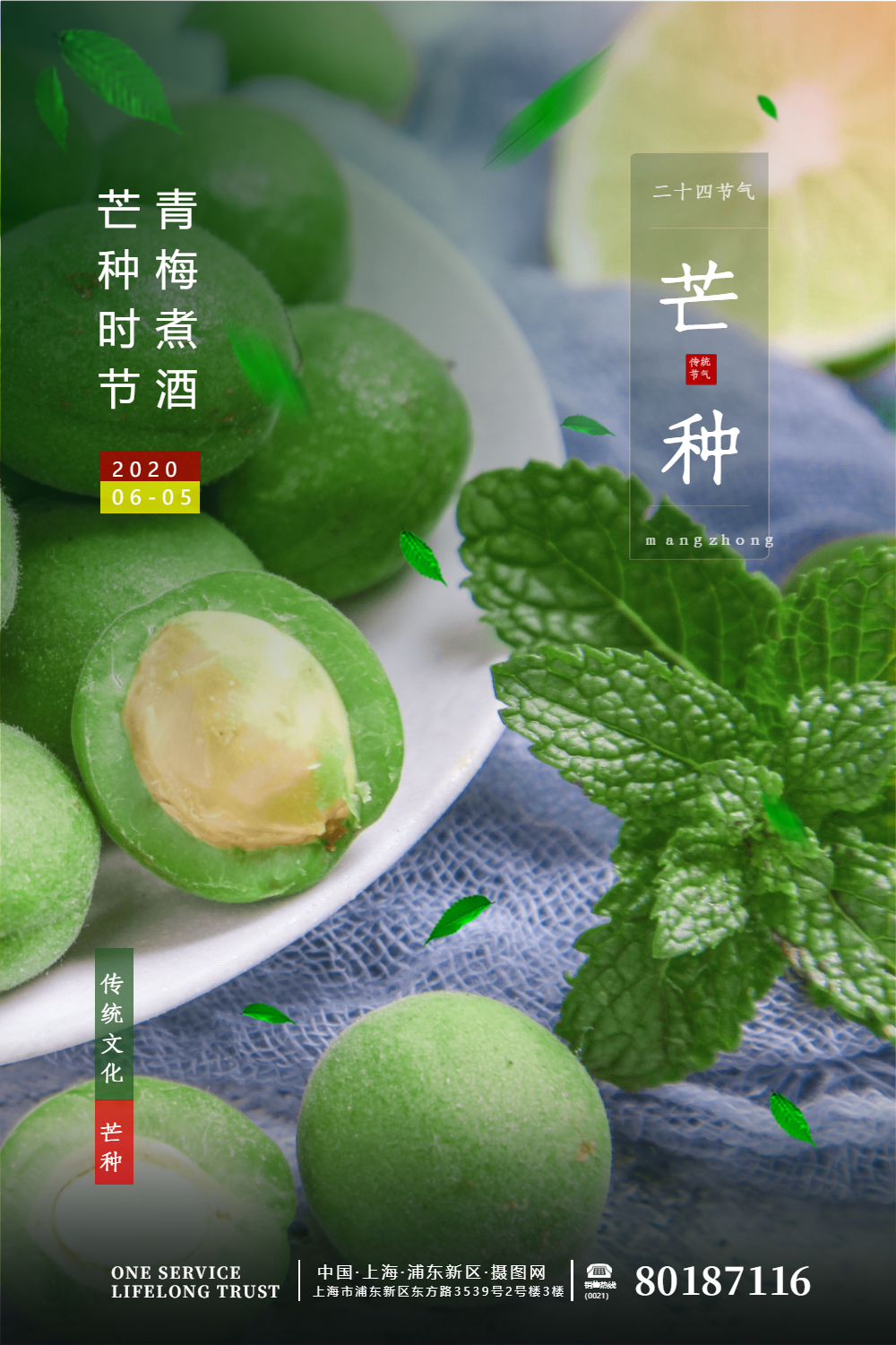 清新文艺芒种习俗煮青梅节气海报