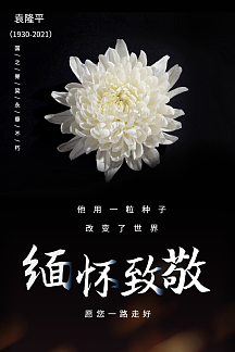 袁隆平逝世悼念公益海报