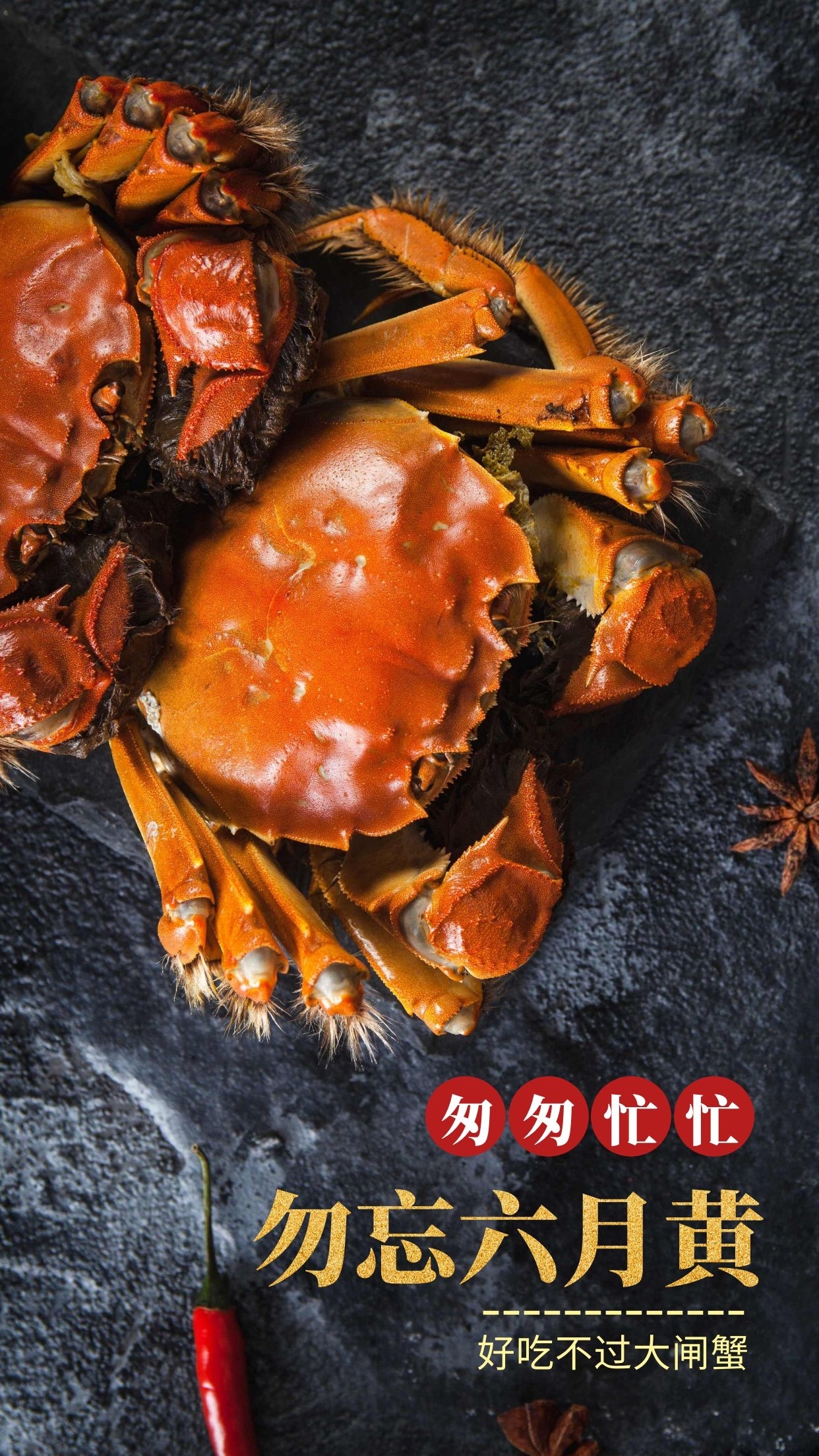 螃蟹大闸蟹美食美味清新照片相册写真