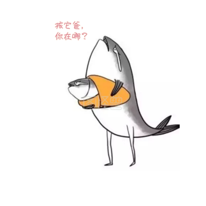 孩它爸,你在哪表情包