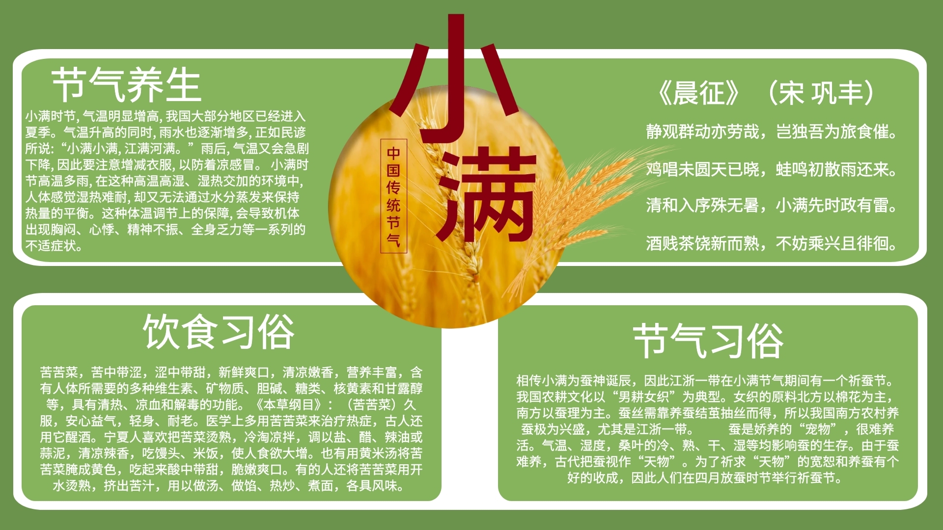 简约小满节气科普手抄报