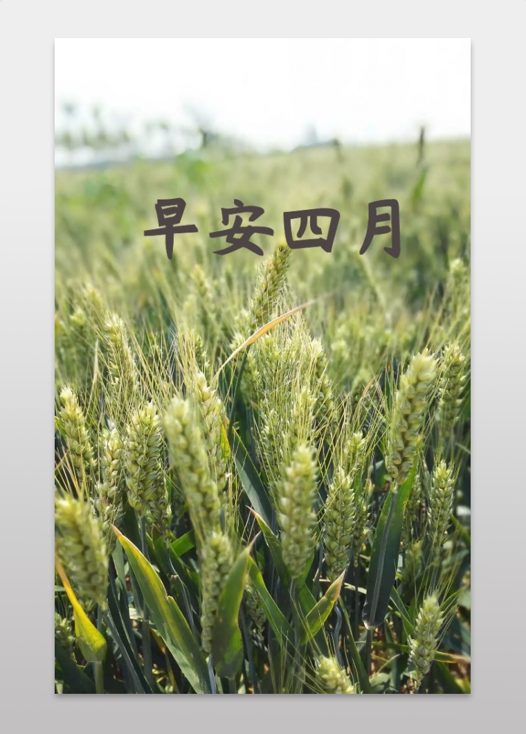 你好四月清新简约紫色浪漫海报