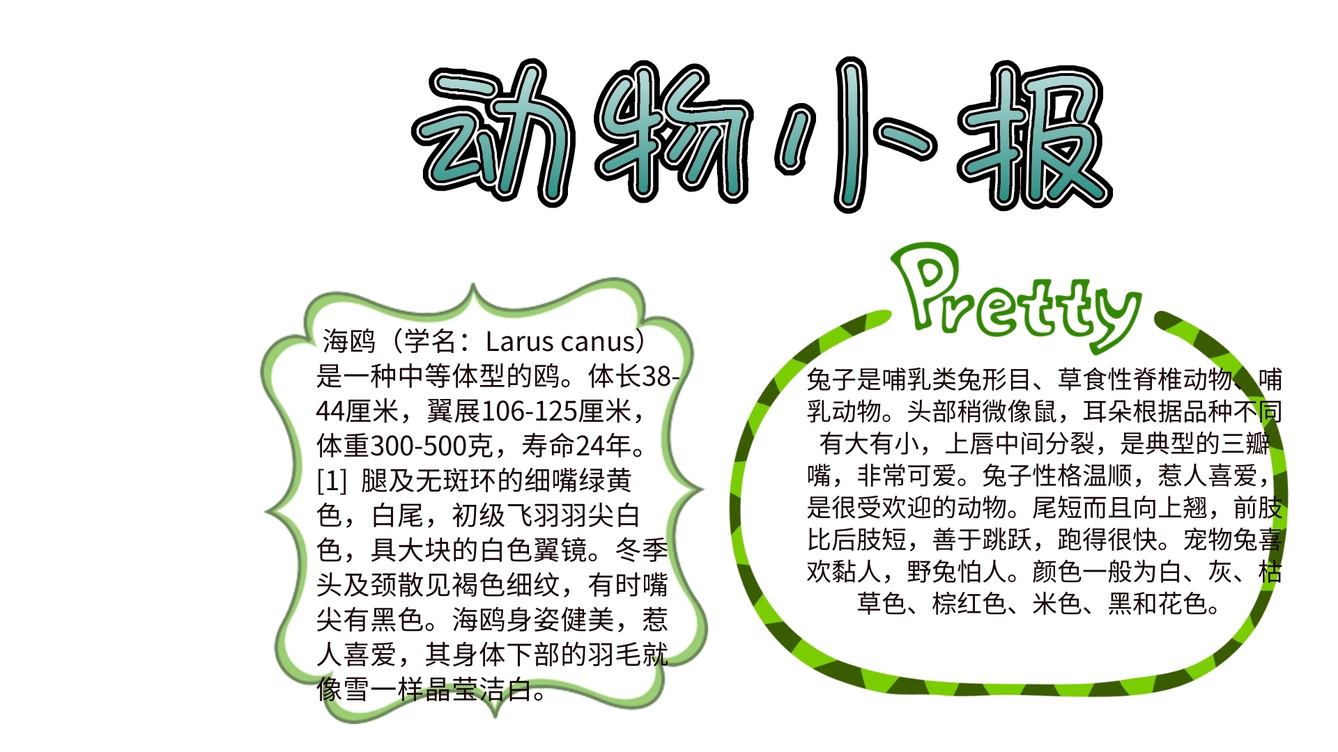 动物卡通插画宣传小报手抄报