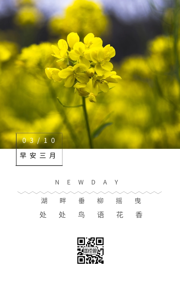 早安三月 03/10 newday 湖畔垂柳摇曳 处处鸟语花香 三月你好日签