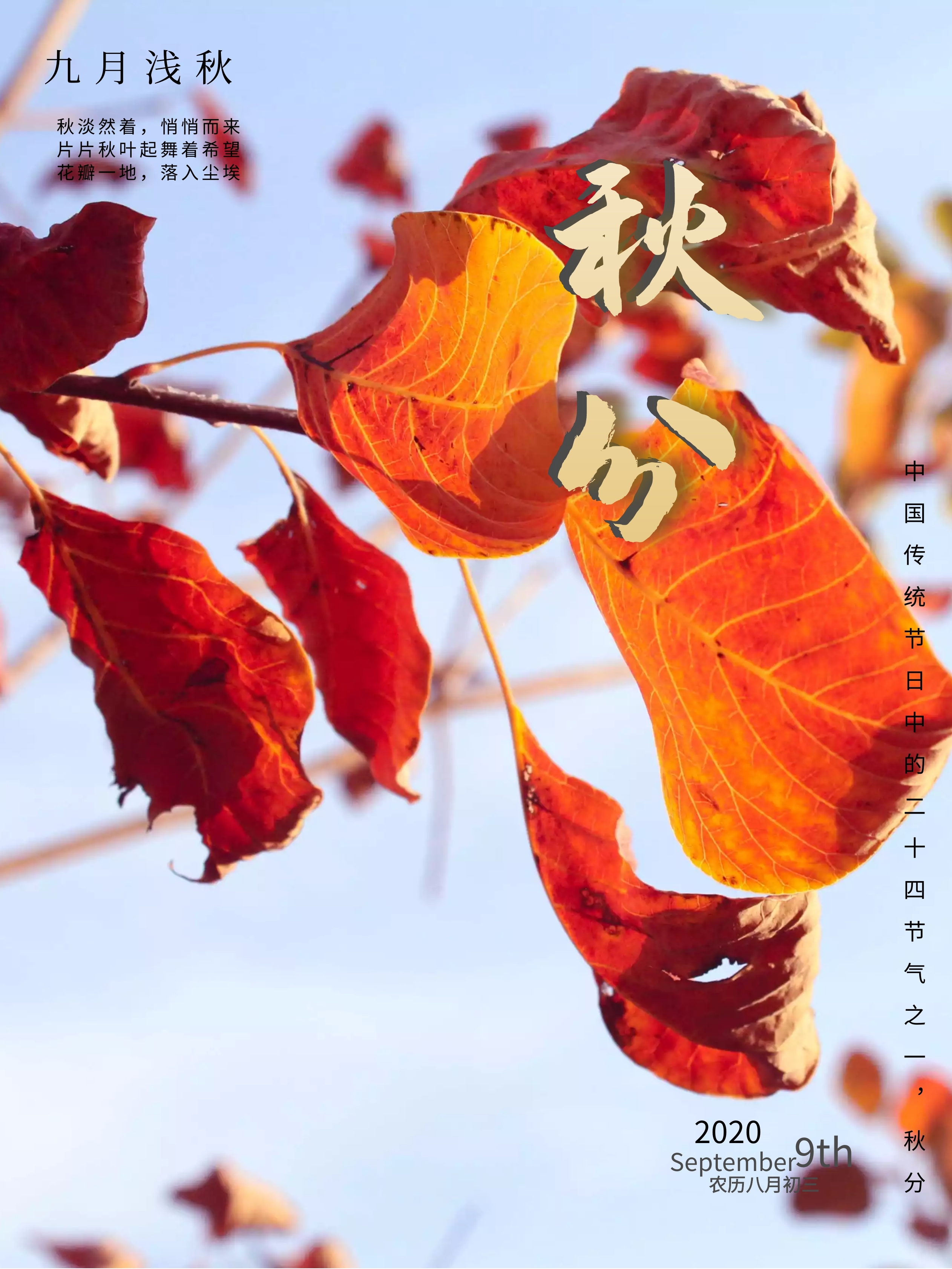 二十四节气之秋分海报