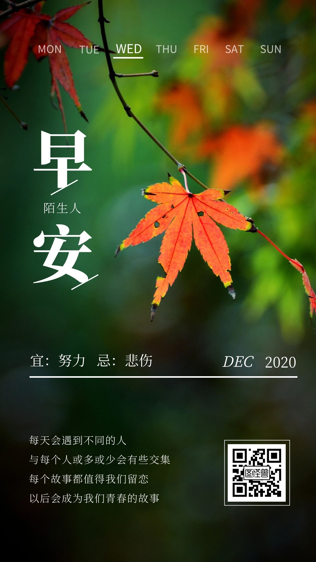 摄影美图早安陌生人励志微信推广日签