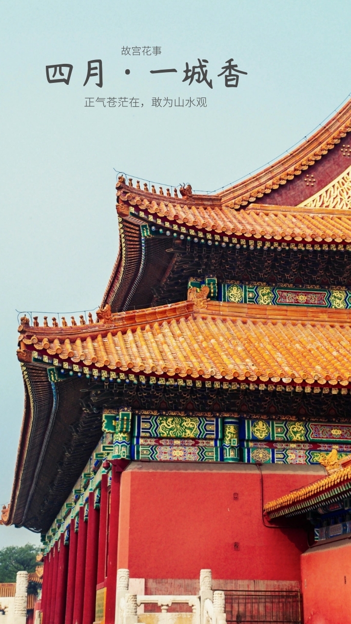 故宫质感红色皮肤背景壁纸