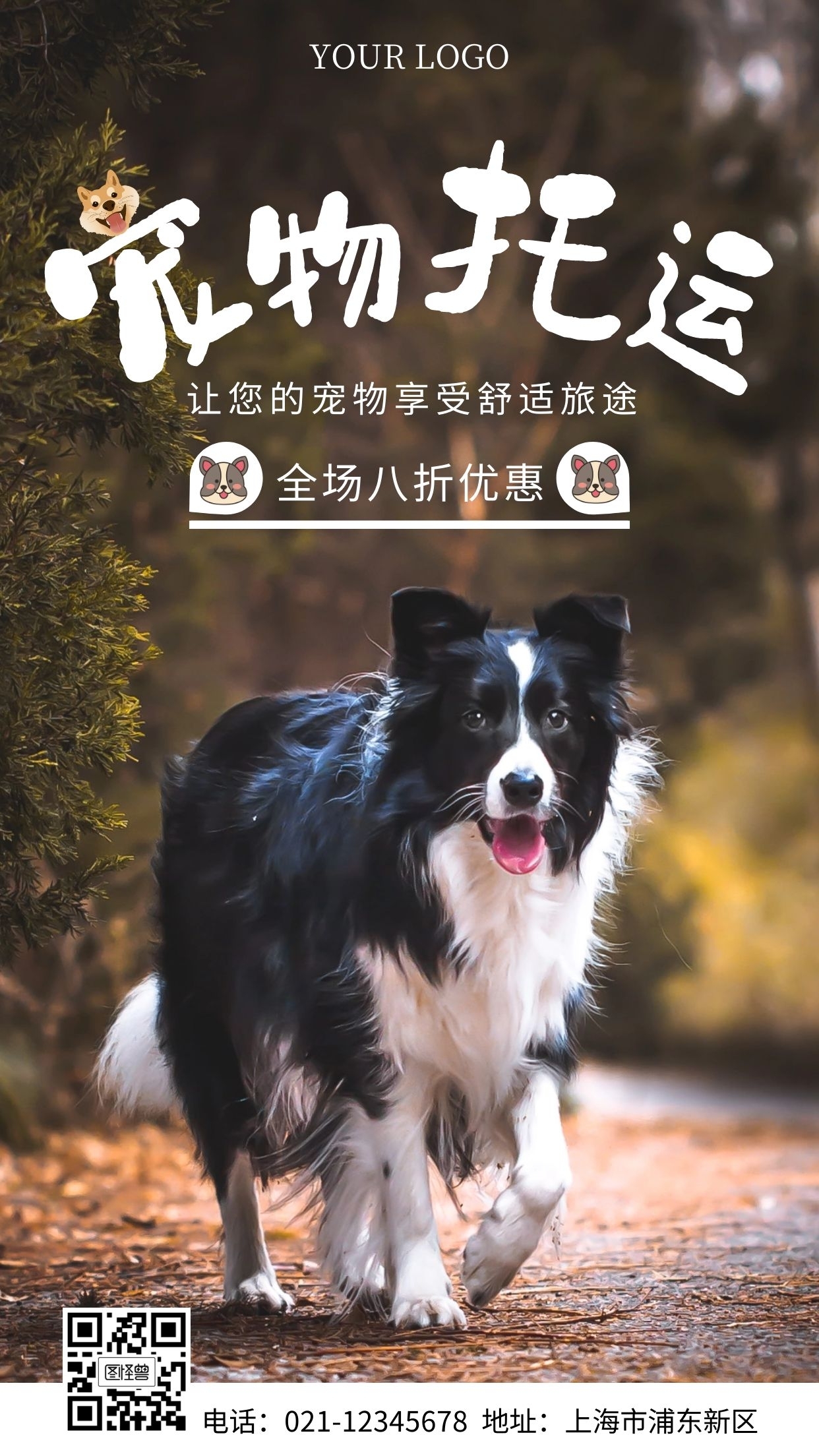 宠物托运白色简约摄影图海报