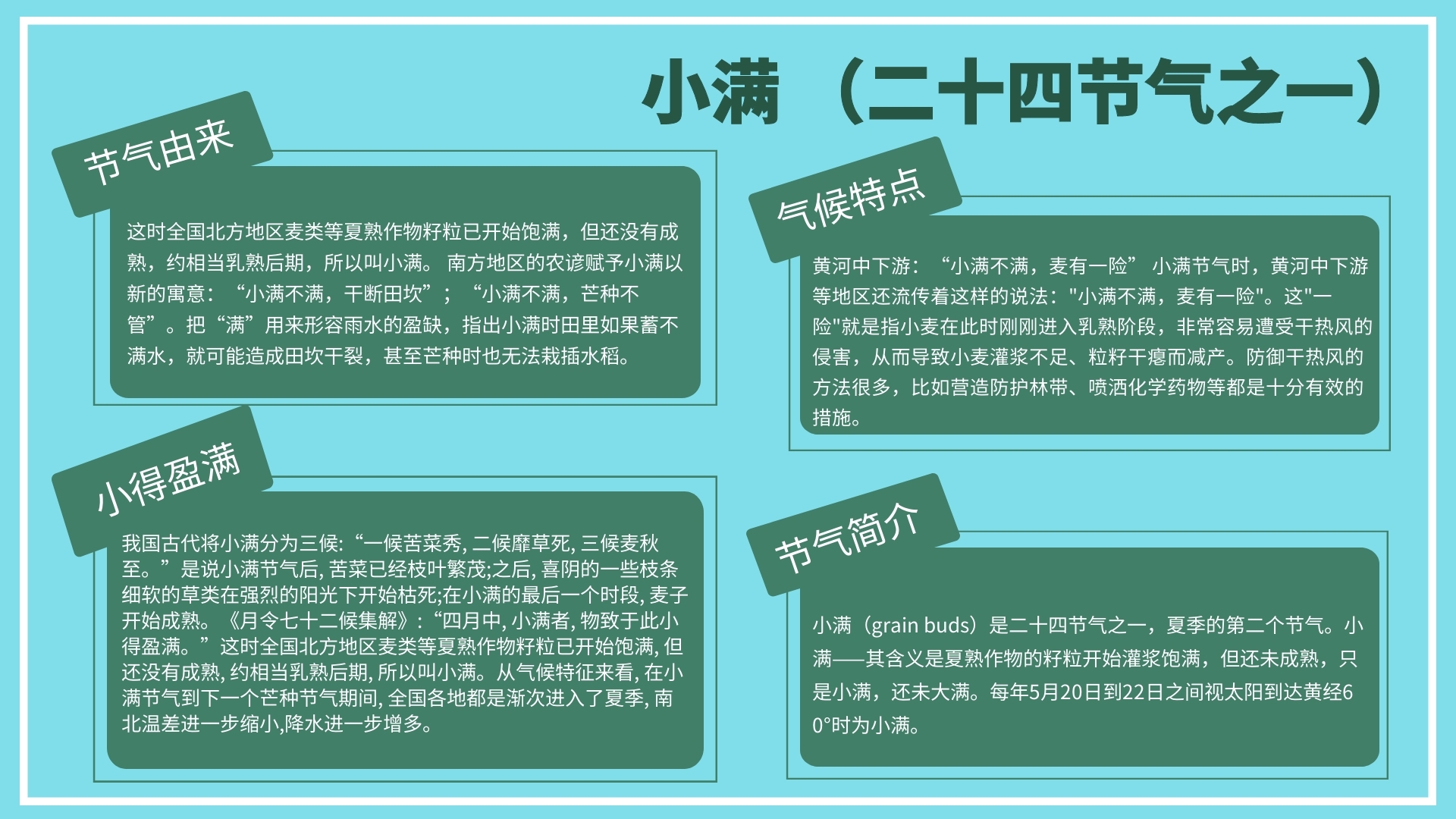 插画小满节气科普手抄报