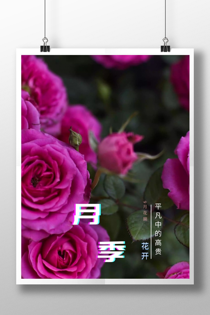 粉色文艺简约鲜花花店月季花海报设计