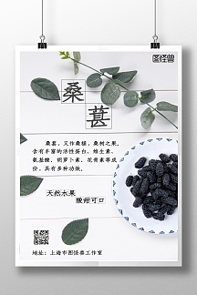 桑葚科普小知识简约竖版海报