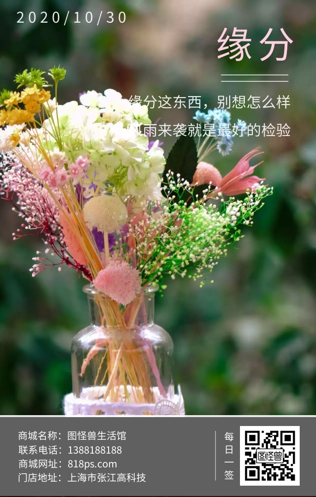 缘分十月月底蓝天花卉日签