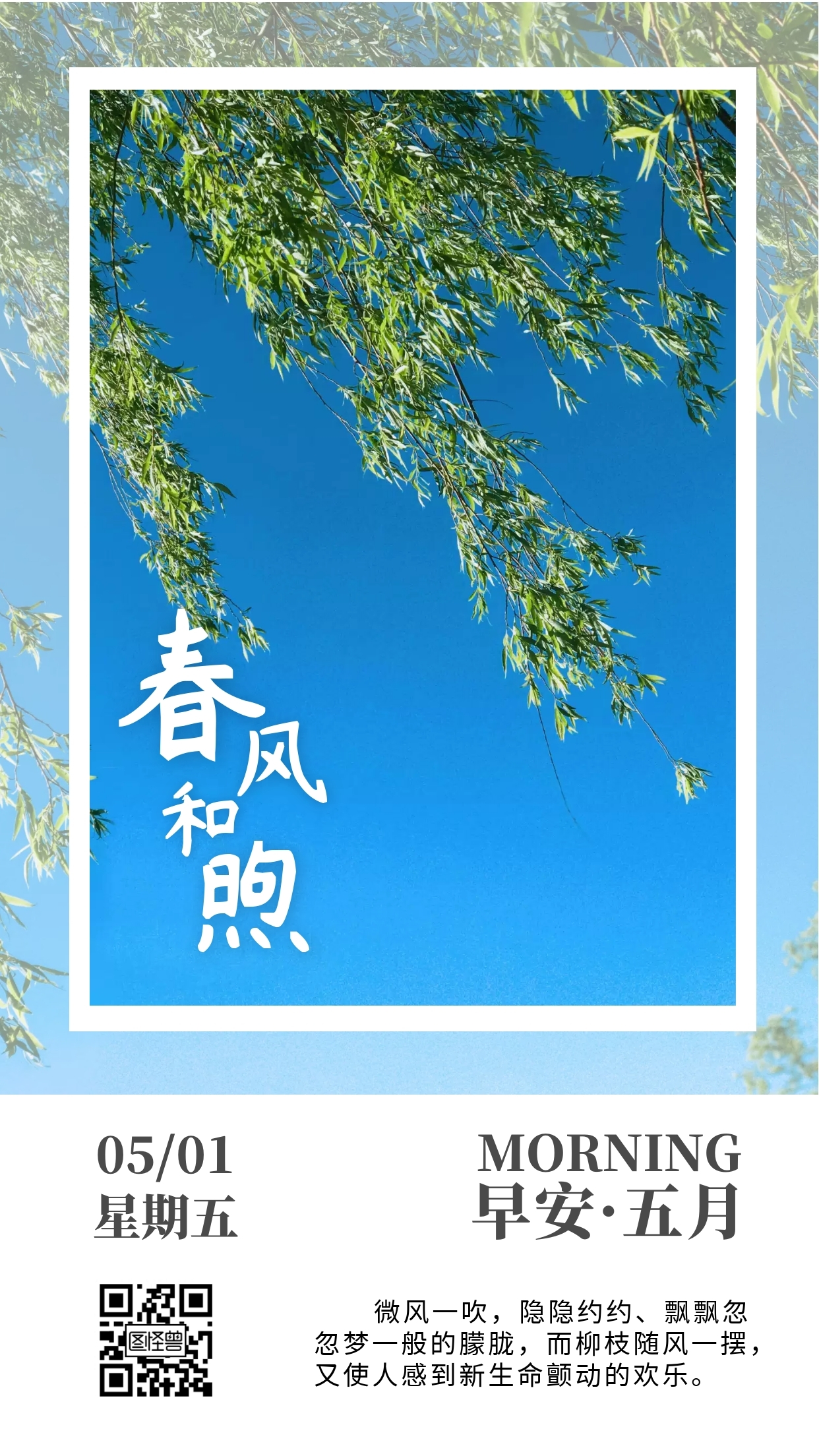 大风早安问候蓝天柳枝简约日签