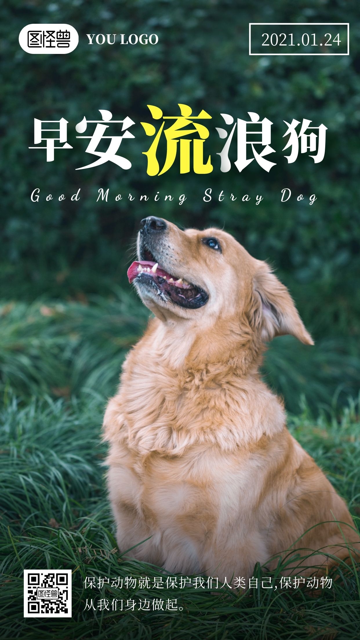 早安2021早安语绿色流浪狗摄影日签