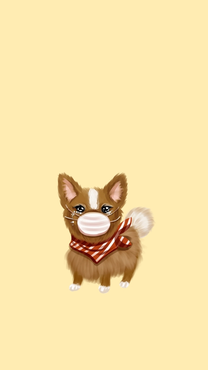 手机壁纸卡通狗狗口罩蠢萌简约背景