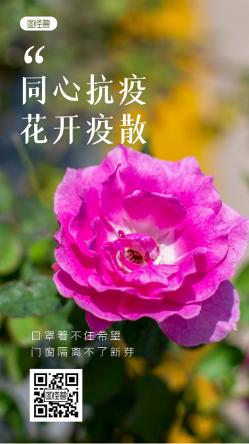 同心抗疫花开疫散手捧鲜花清新视频