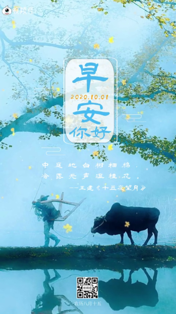 桂花清新淡雅桂花早安日签视频