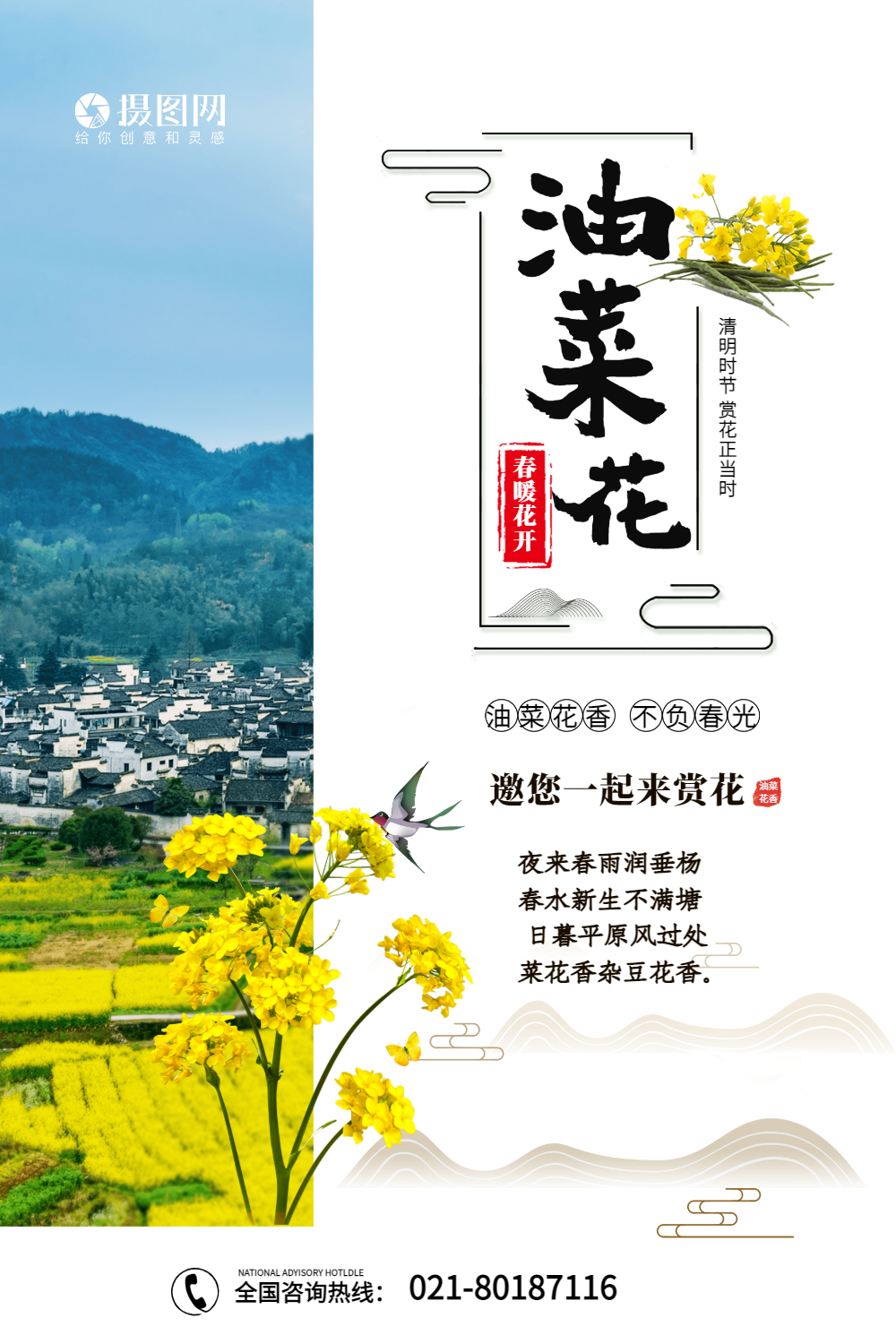 简洁油菜花旅游海报