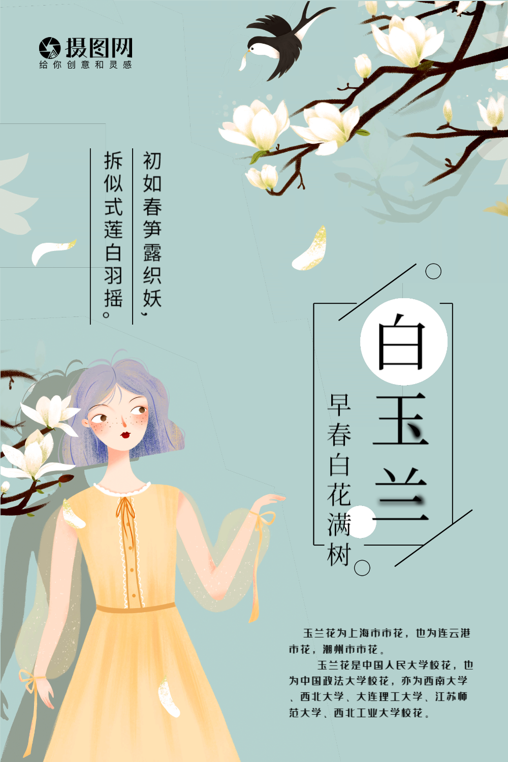 小清新白玉兰花卉海报