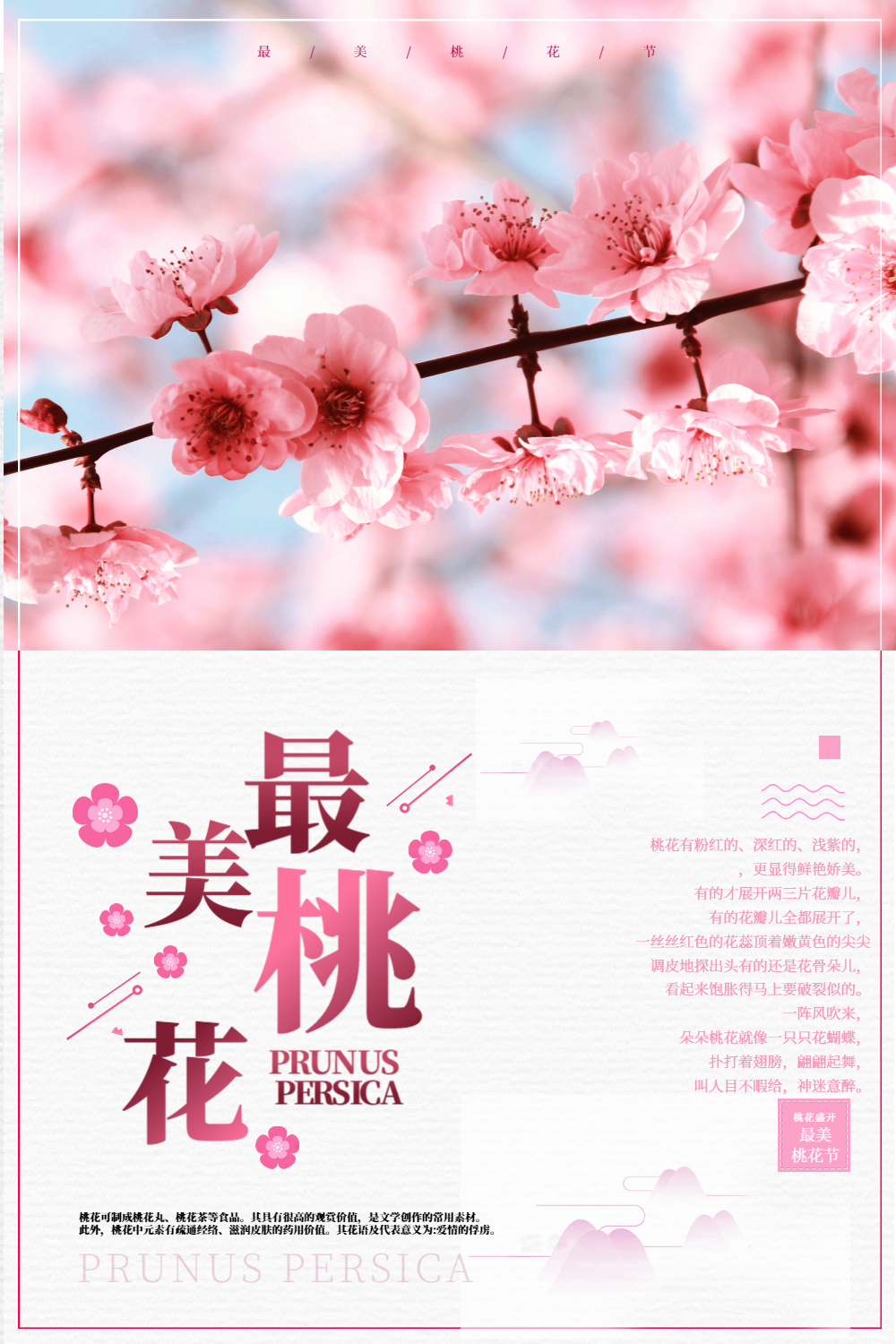 粉色桃花