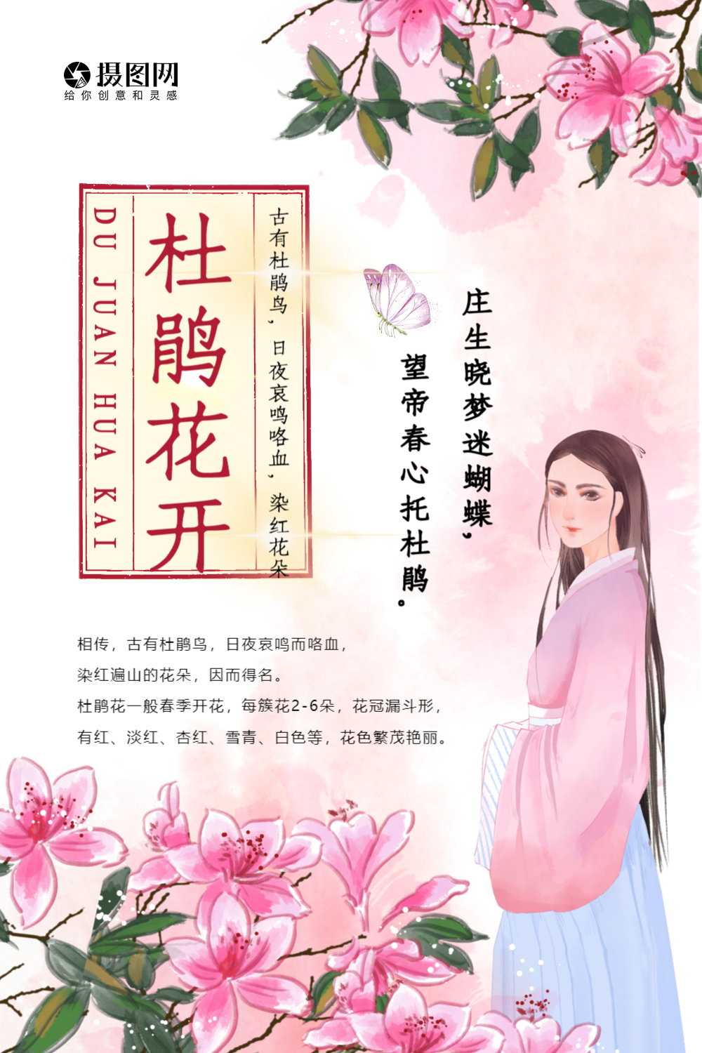 古风唯美杜鹃花开海报