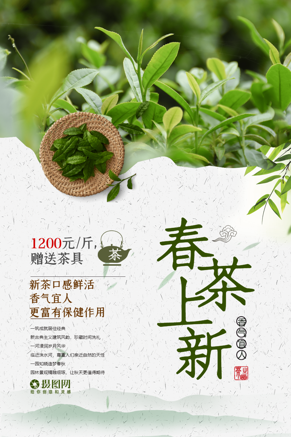 春茶新茶上新宣传海报