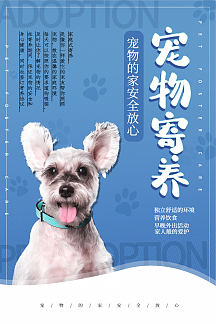 蓝色可爱宠物寄养海报猫咪俱乐部猫粮海报宠物医疗海报宠物店狗粮促销