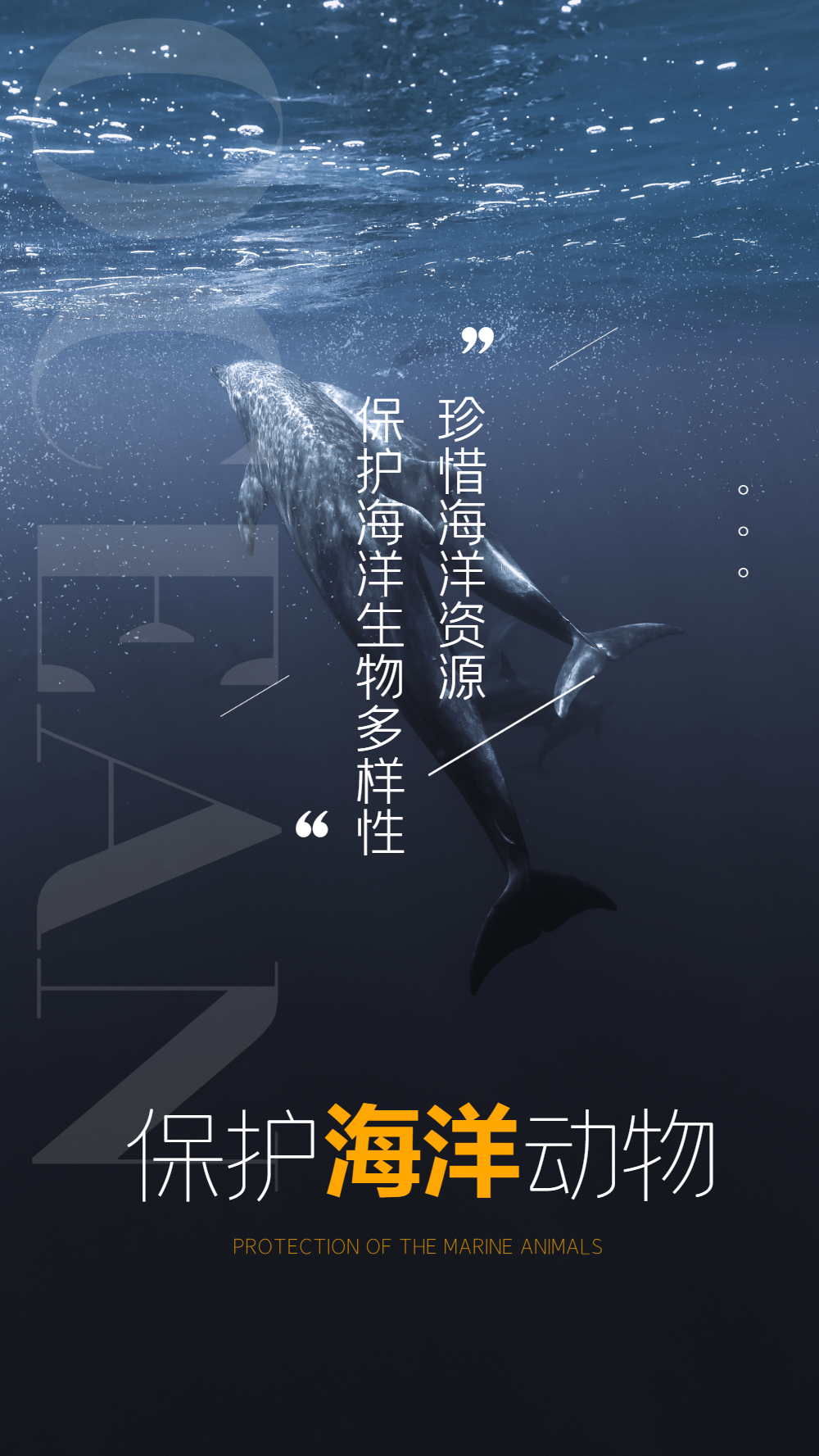 保护海洋生物摄影图海报设计