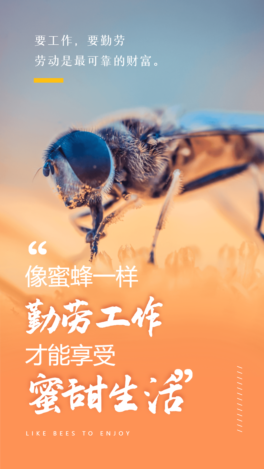 勤劳励志日签摄影海报