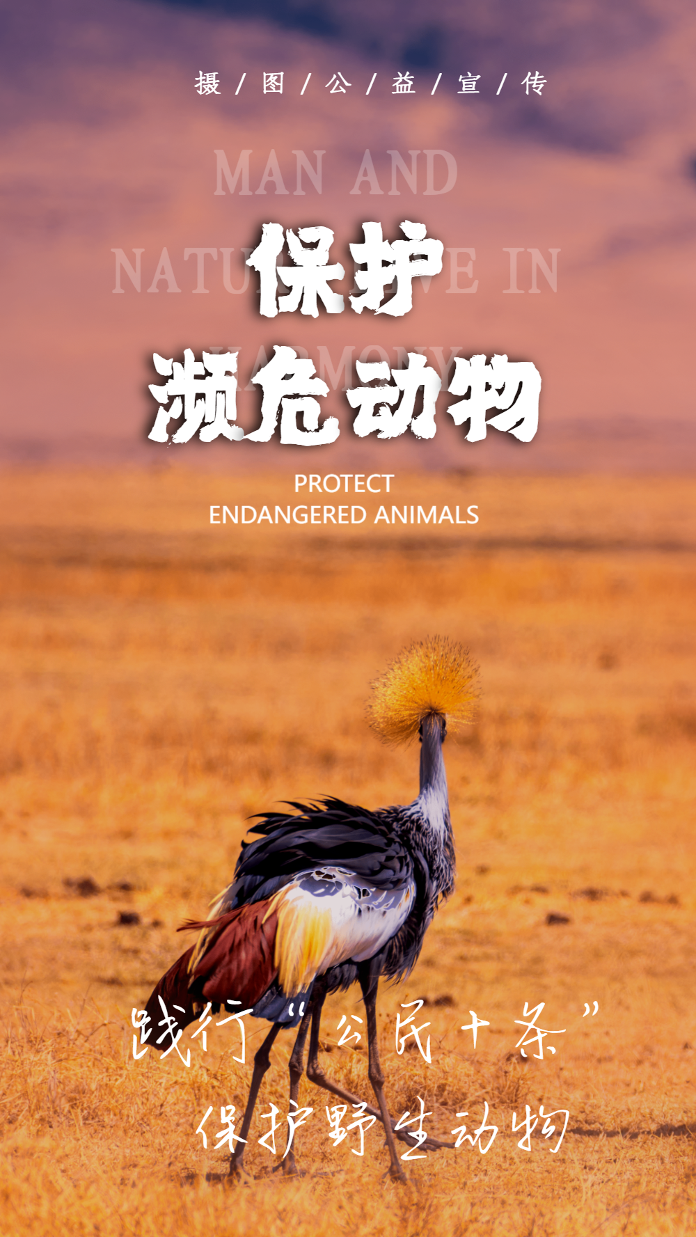 实现人与自然 和谐共处摄影图海报