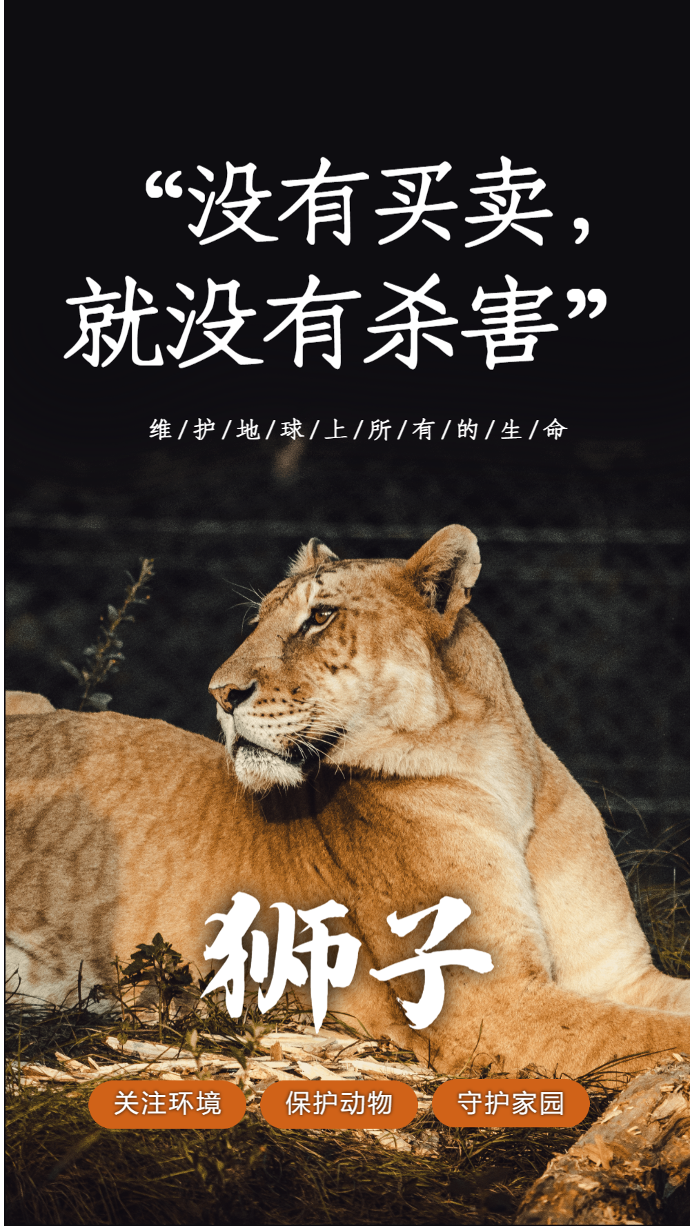 没有买卖, 就没有杀害摄影图海报