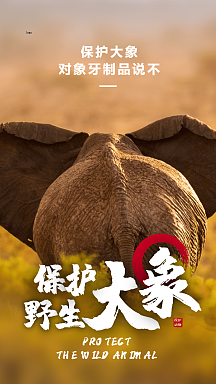 保护大象海报