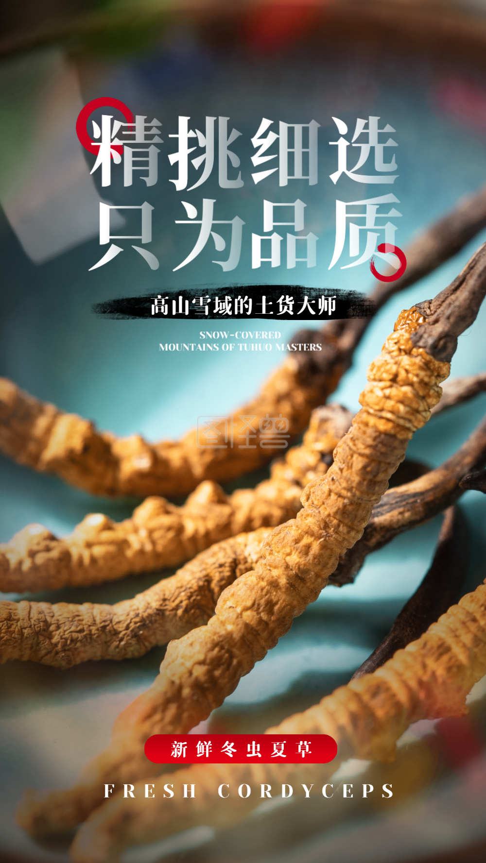 冬虫夏草-冬虫夏草滋补品美食摄影图海报在线图片制作-图怪兽