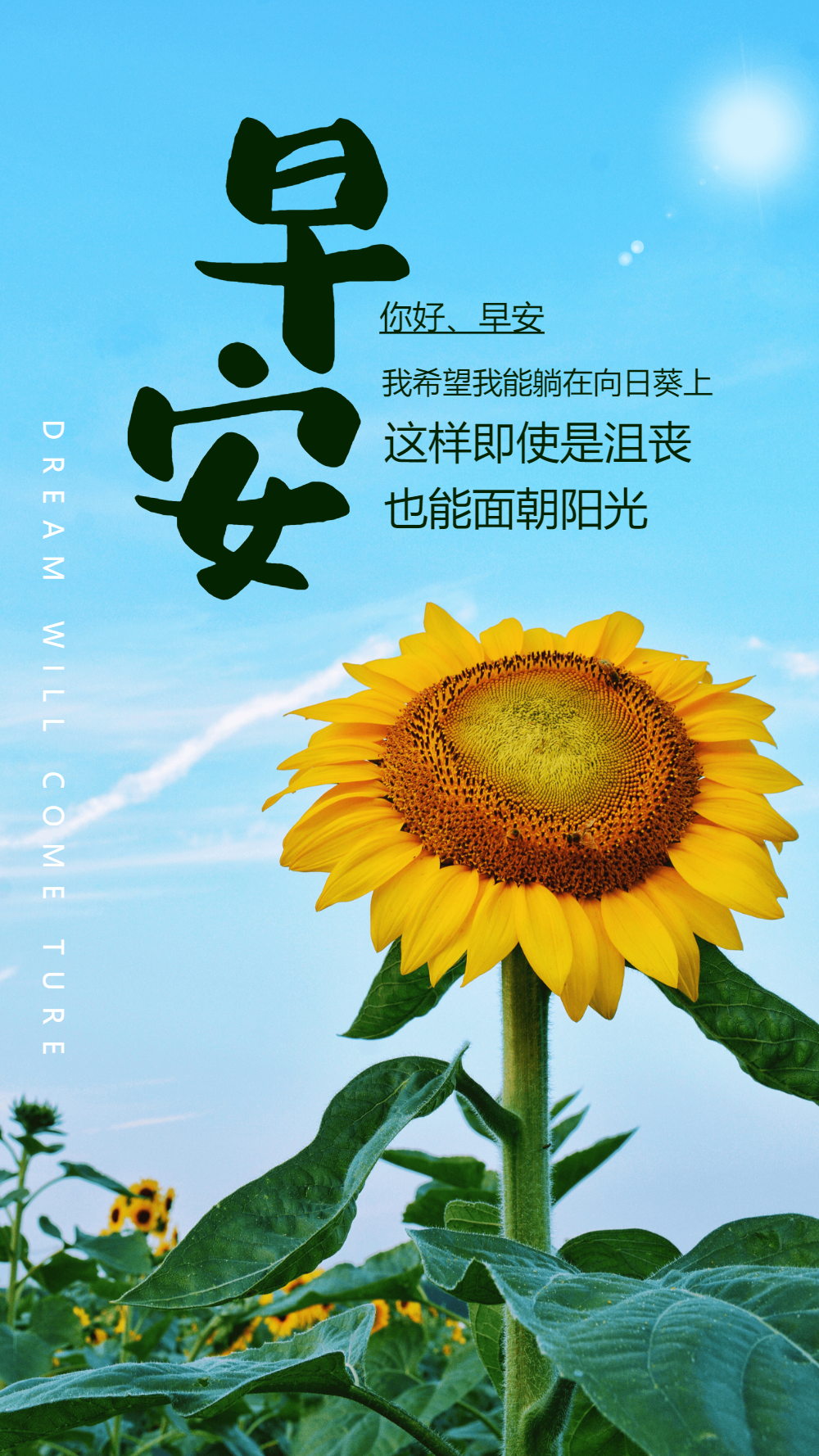 励志早安摄影图海报