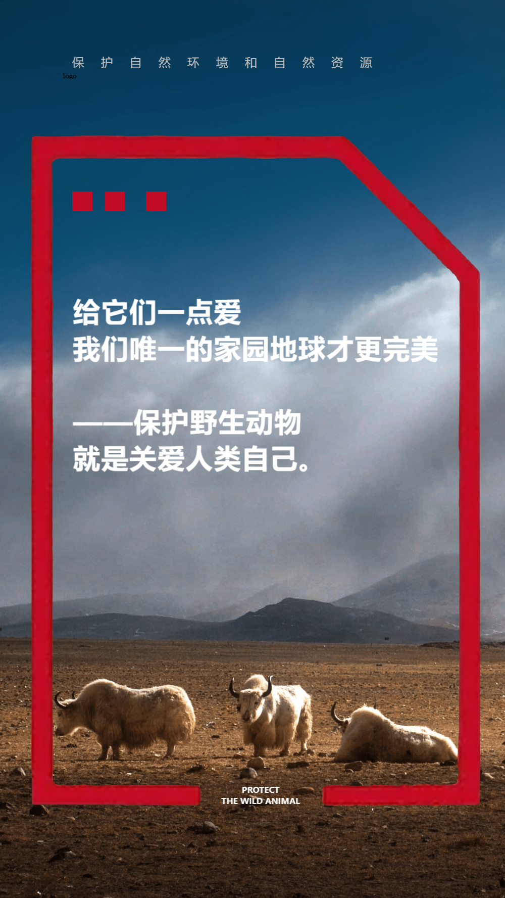 正版简约拒绝伤害保护野生动物海报正版保护野生动物关注二维码正版