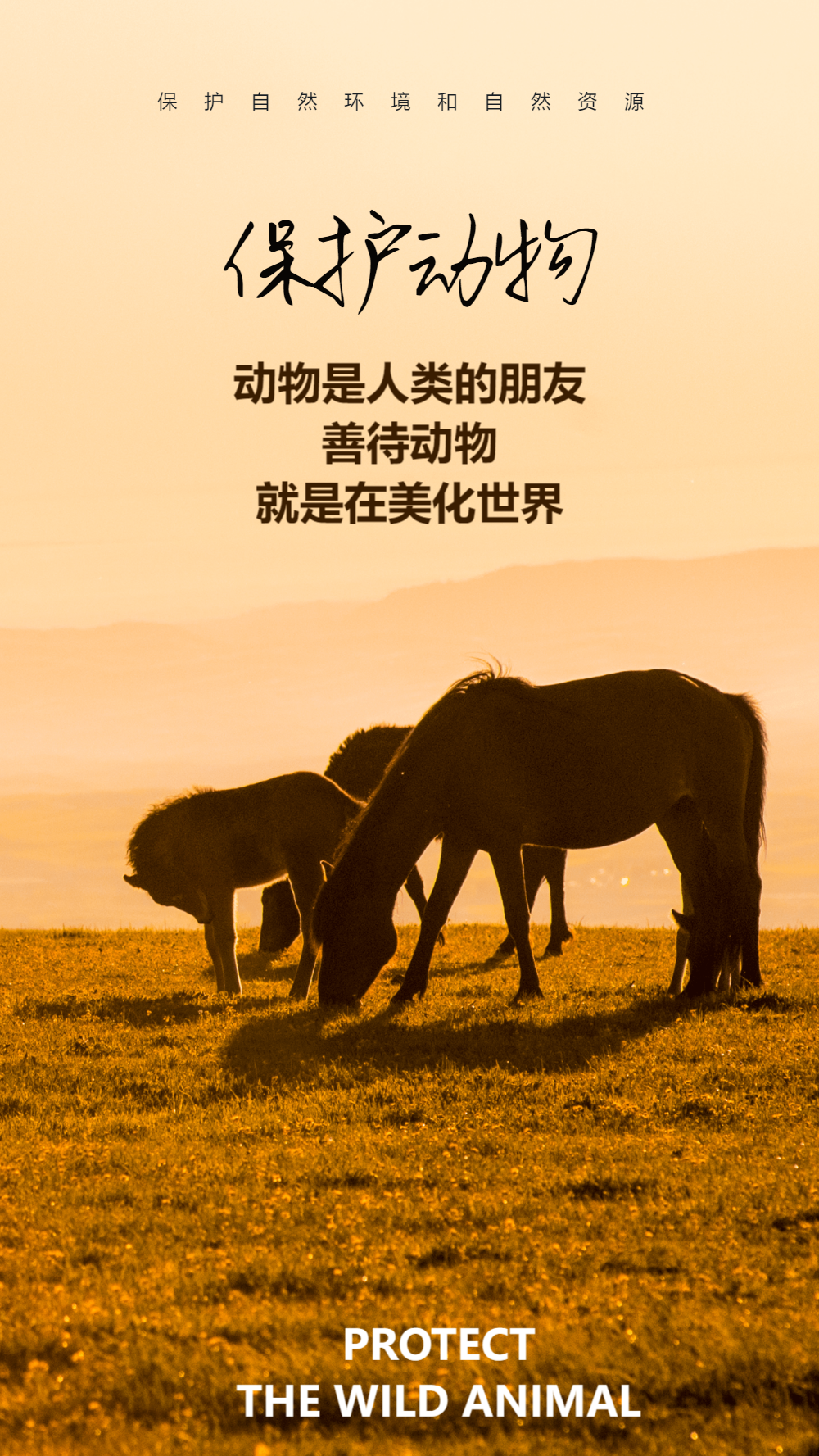 动物摄影图海报设计正版关爱野生动物宣传摄影图海报正版带我回家公益