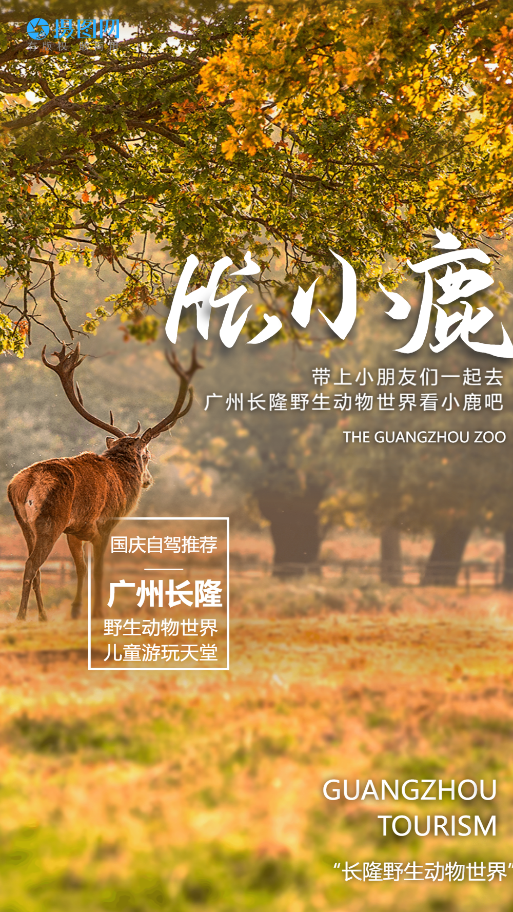 广州长隆野生动物世界旅游摄影图海报