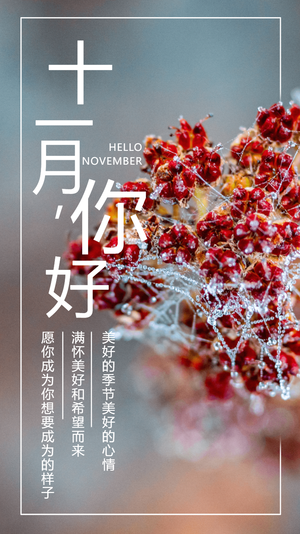 十一月你好海报